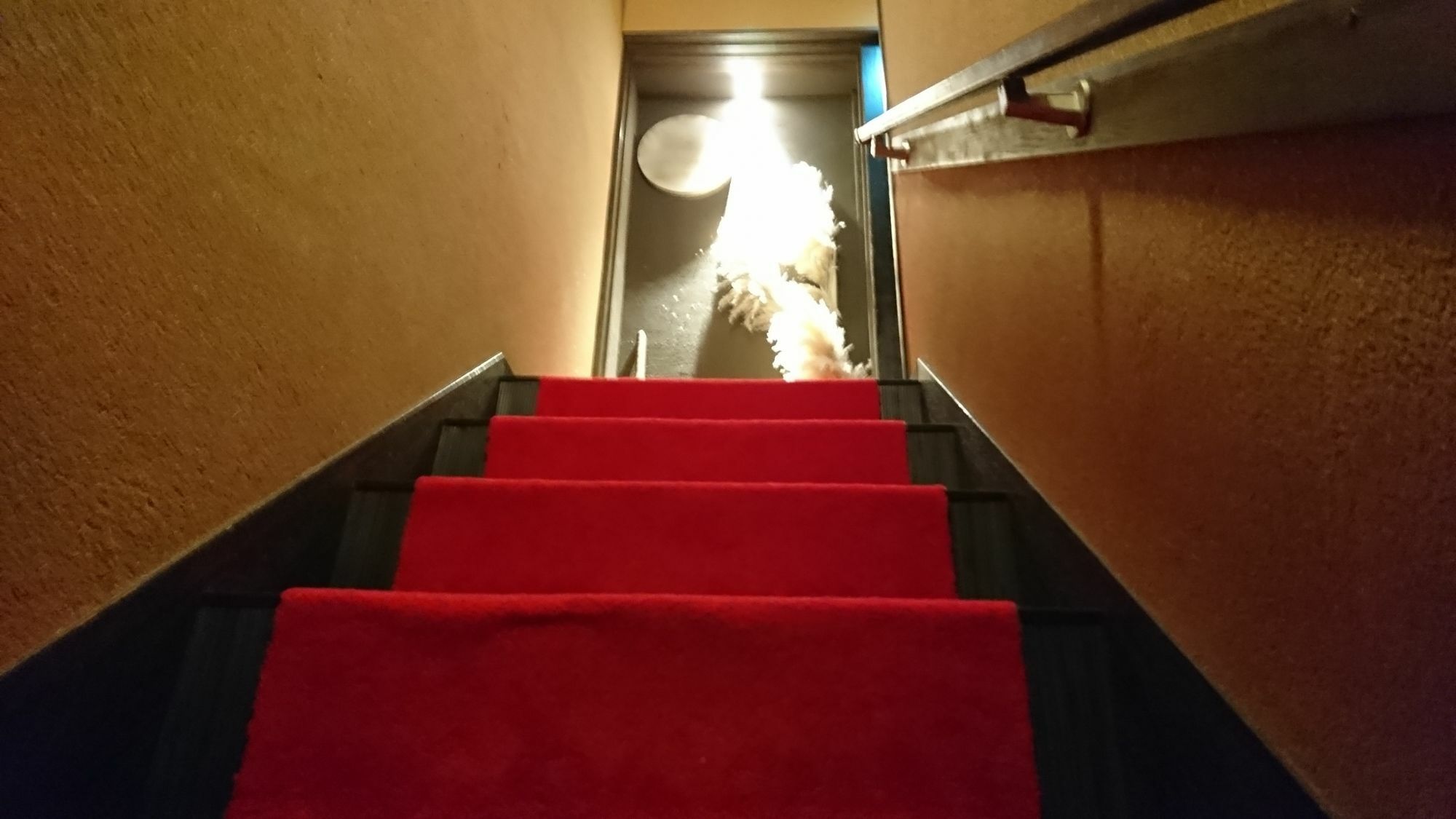Yadoya Hotell Kyoto Exteriör bild
